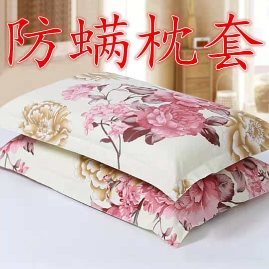 Pillowcase Set of 2 Adult Pillowcases Single Pillowcase Double Pillow Core Cover 74*48 Pillowcase Factory Wholesale