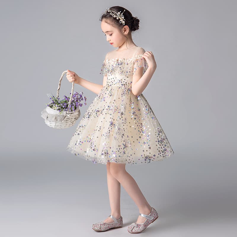 Princess Birthday Girl Puffy Tulle Dress Children's Piano Performance Outfit Host Evening Gown Elegant Flower Girl Wedding Dress