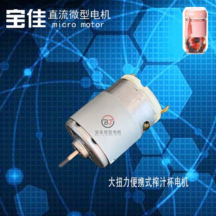 Micro Motor High Torque Juicer Cup DC Car Vacuum Cleaner Brushed Vibration Motor Miniature Efficient for Small Appliances