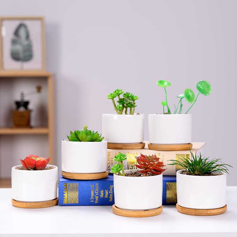 Creative Ceramic Succulent Pot, Indoor Desktop White Pot, Modern Home Gardening Cross-border White Porcelain Pot with Customizable Logo