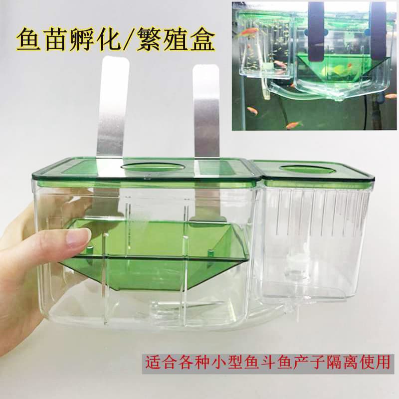 Fish delivery room Peacock Douyu fish seedling breeding device fish tank internal isolation net protection small fish isolation box