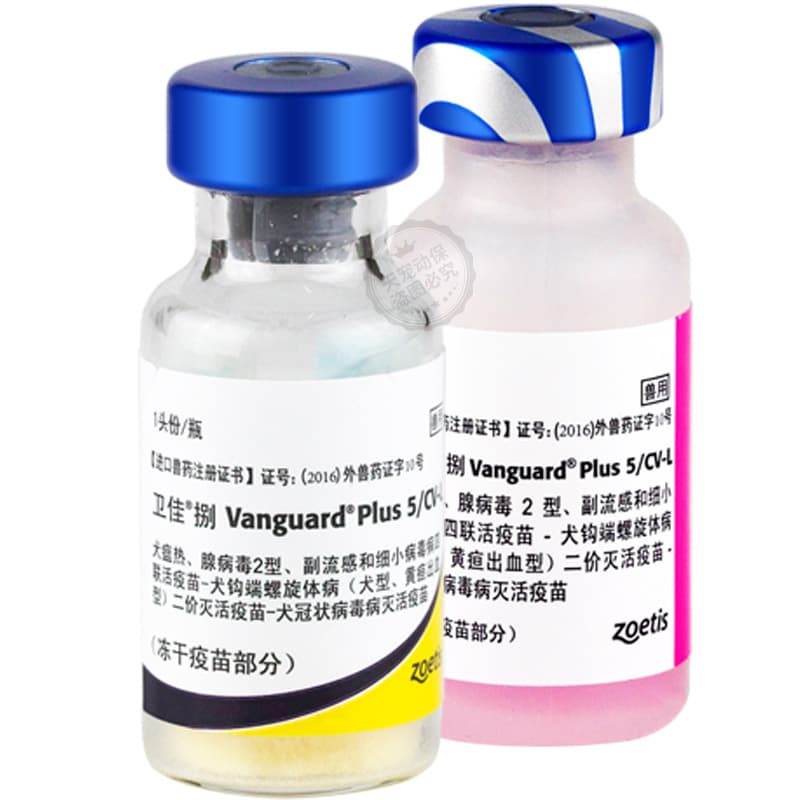 Pfizer Zoetis Vanguard 5|Vanguard 8|Fel-O-Vax|Rabic|Rabies Pet Vaccine