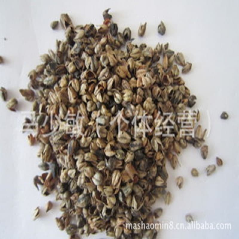 Bitter Buckwheat Hull Wholesale for Market Stalls and Exhibitions, Bulk Pillow Cores and Cushion Filling Material, Buckwheat Chaff and Pillow Cores