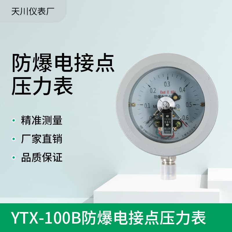YTX-100B Explosion-proof Electric Contact Pressure Gauge EXdiiBT4/CT6 Diaphragm Electric Contact