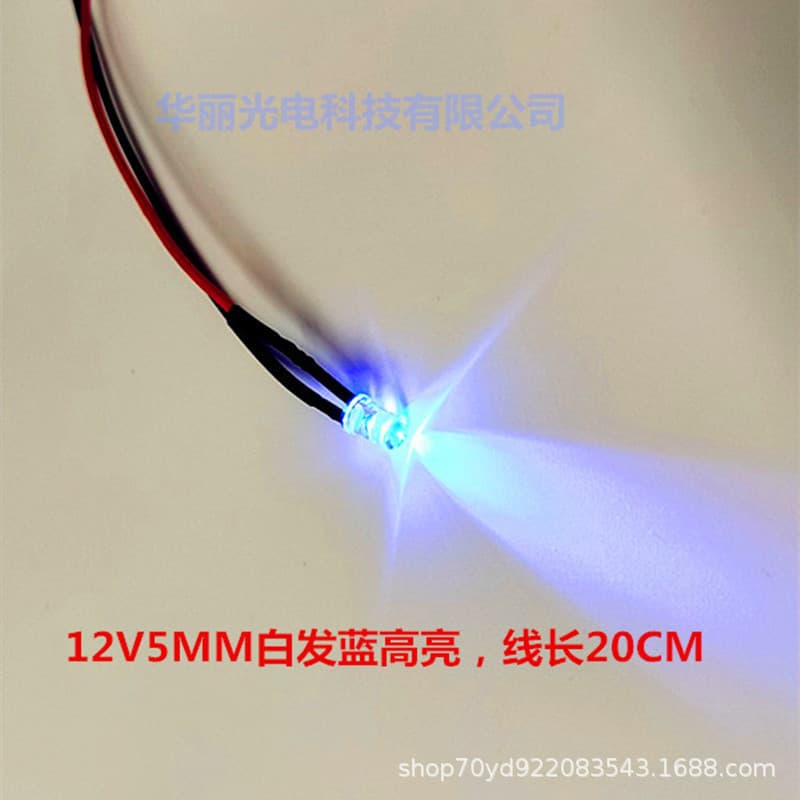 3V/6V/12V/24V LED with Wire 5mm Bead Soldered LED Light Emitting Diode 12V Wire Length 20CM