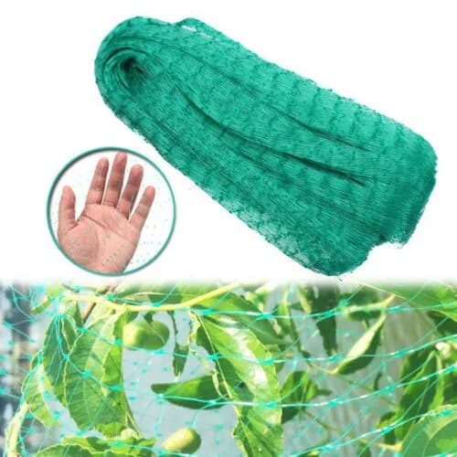 Green Polyethylene Anti-bird Netting For Garden Vineyard Fruit Protection Squeezed Out Grape Vine Anti-bird Netting