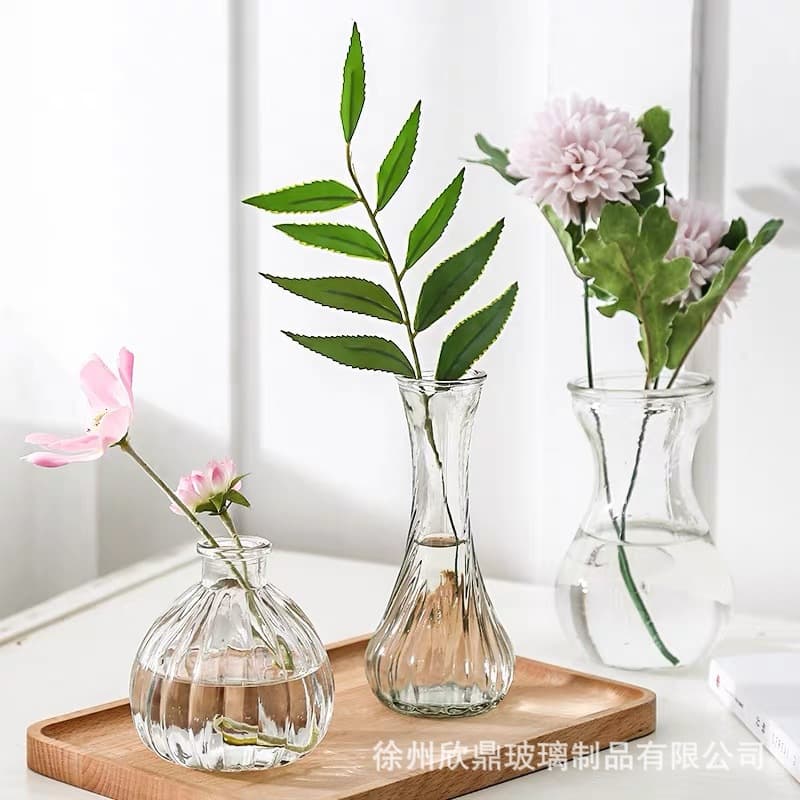 Hydroponic Creative Glass Vase for Narcissus, Hydroponic Plant Container, Green Ivy Transparent Flowerpot, Hyacinth Bottle