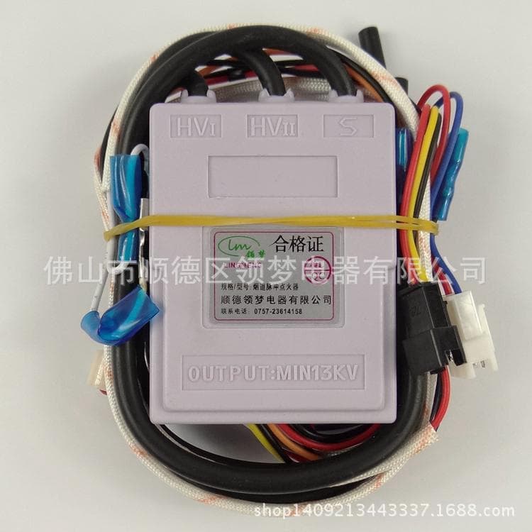 Manufacturer Direct Sale Dual Ignition with Temperature Control and Display Function, Flue-type Igniter for Gas Water Heater Parts