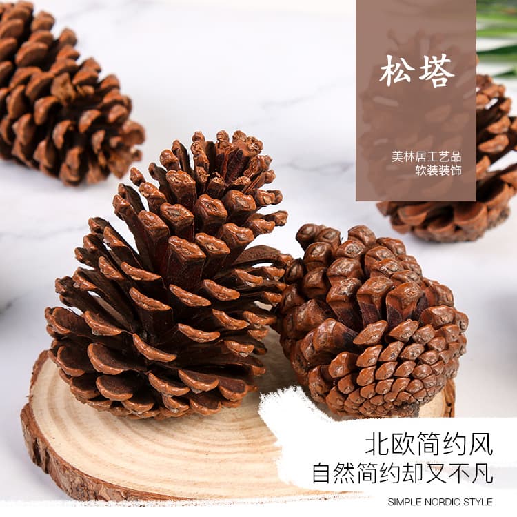 Large pine cone American slash pine cone dried fruit country home decoration Christmas supplies large American pine cone dried fruit