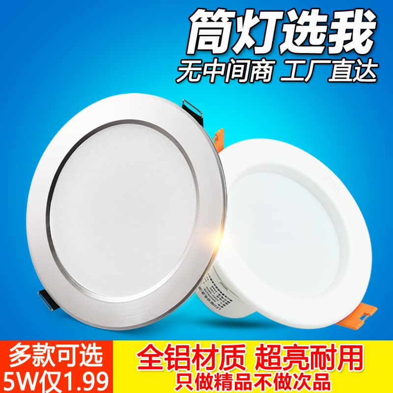 LED Downlight 3W Ceiling Light Recessed 2.5 Inch 7.5cm Cutout Ultra-Thin Panel Light 3-Color Temperature Changing Barrel Light