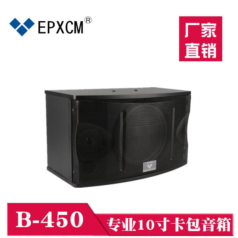 Factory direct sales of 10-inch portable speaker for home theaters, KTVs, background music, and conference rooms.