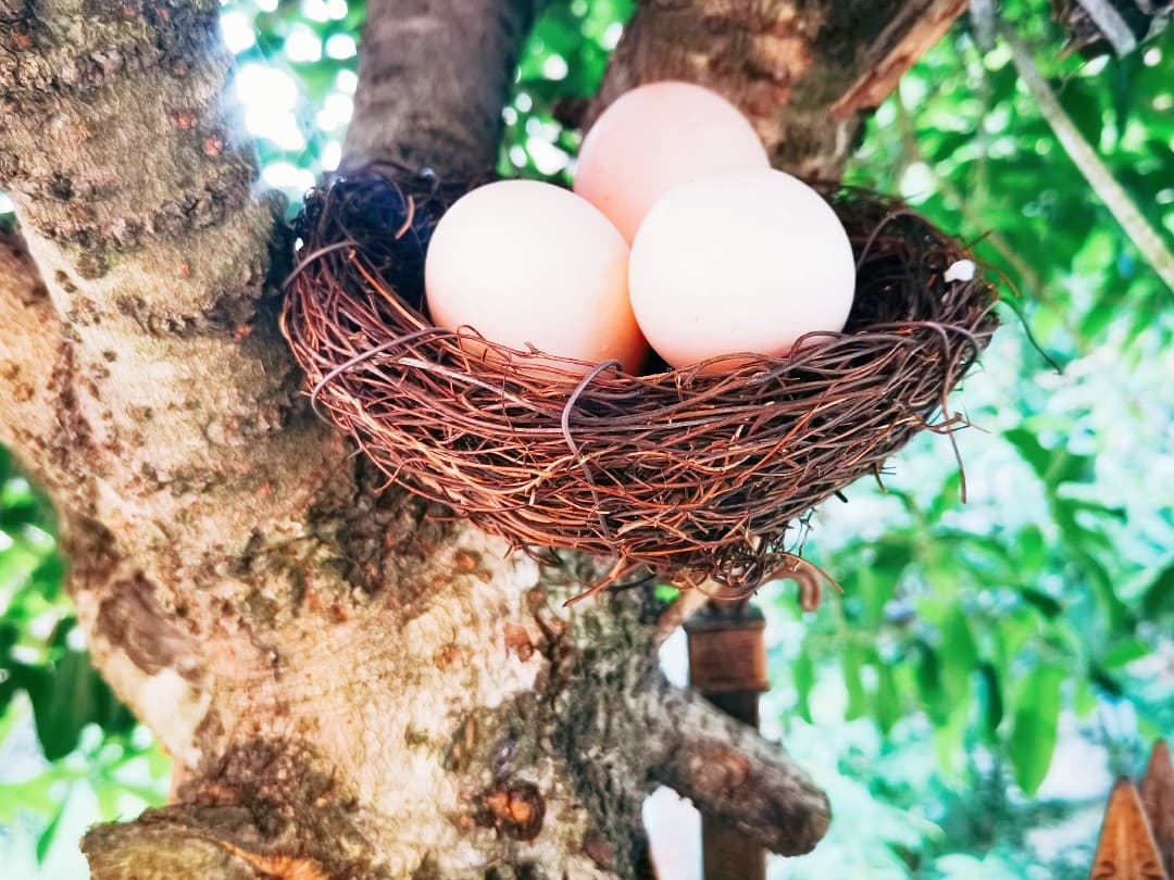 Rattan Woven Bird Nest Retro Bird Nest, Manufacturer Direct Source