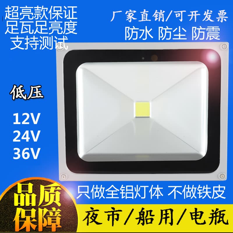 12V24V220V low voltage floodlight fishing boat light DC battery night market light marine lighting floodlight 36V48V