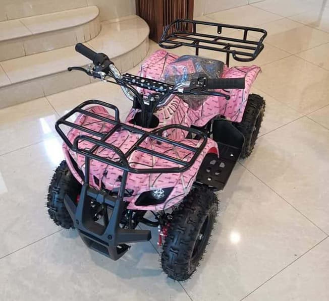Little Bull 49CC Sand Cart Mini 2-Stroke 4-Wheel ATV Off-Road Vehicle Mountain Bike with Optional Electric Start