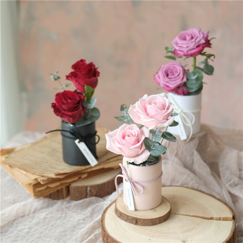Transparent Rose Flower Arrangement Box Handheld Bucket Round Flower Box Gift Box with Handle Rose Flower Packaging Box
