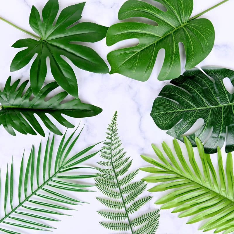 Korean Ins Minimalist Style Artificial Tropical Plant Leaves for Photography Backdrop and Food Styling Props