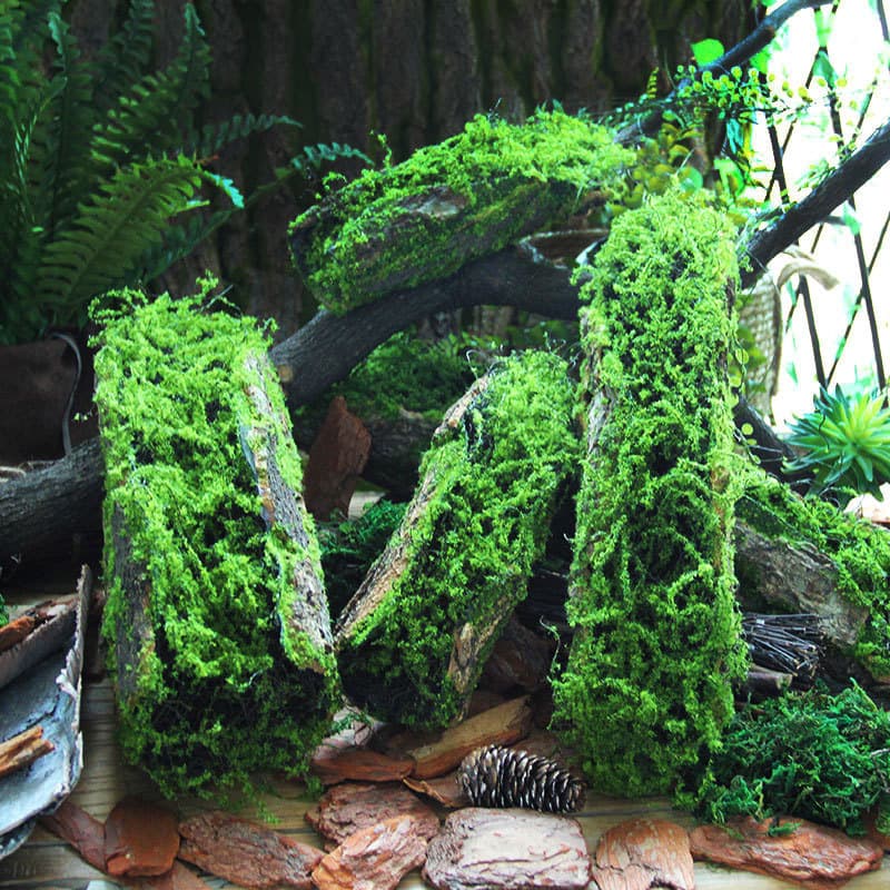 Creative Moss Bark Ornament Handmade Garden Decoration for Terrarium Rainforest Plant Corner Design