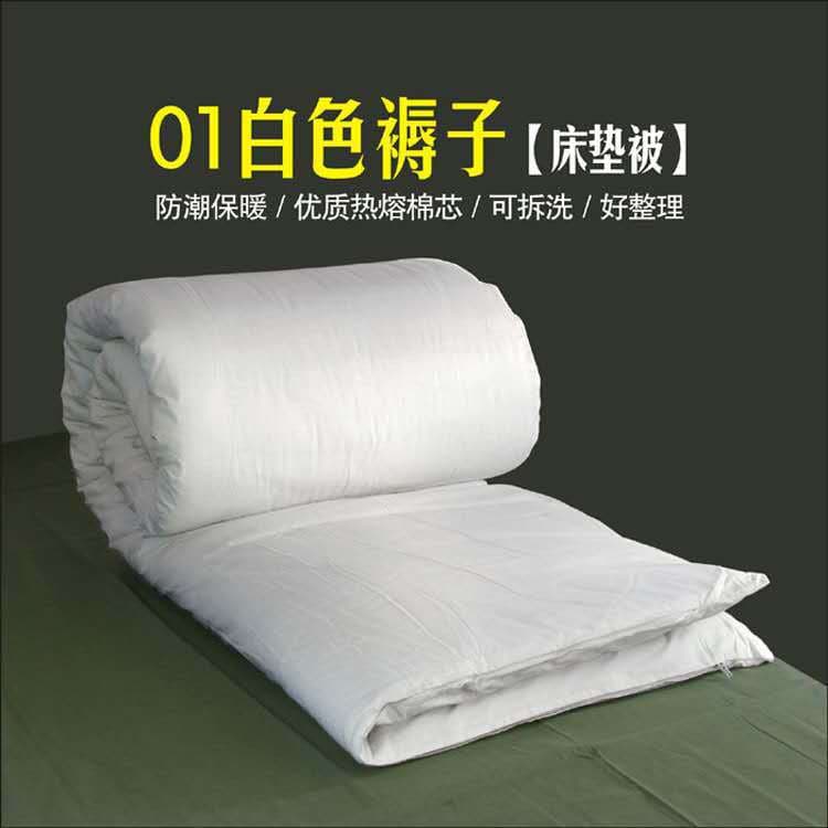 90cm Wide Hot Melt Mattress, Student Military Training Single Dormitory 01 Bed Mattress/Cotton Pad, Quilted Breathable Soft
