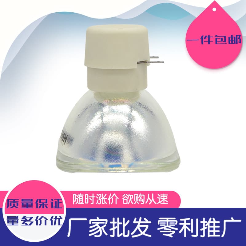 Compatible with Ricoh PJ S2189/S2240/S2650/S2660/S2670/S2680 Projector Lamps