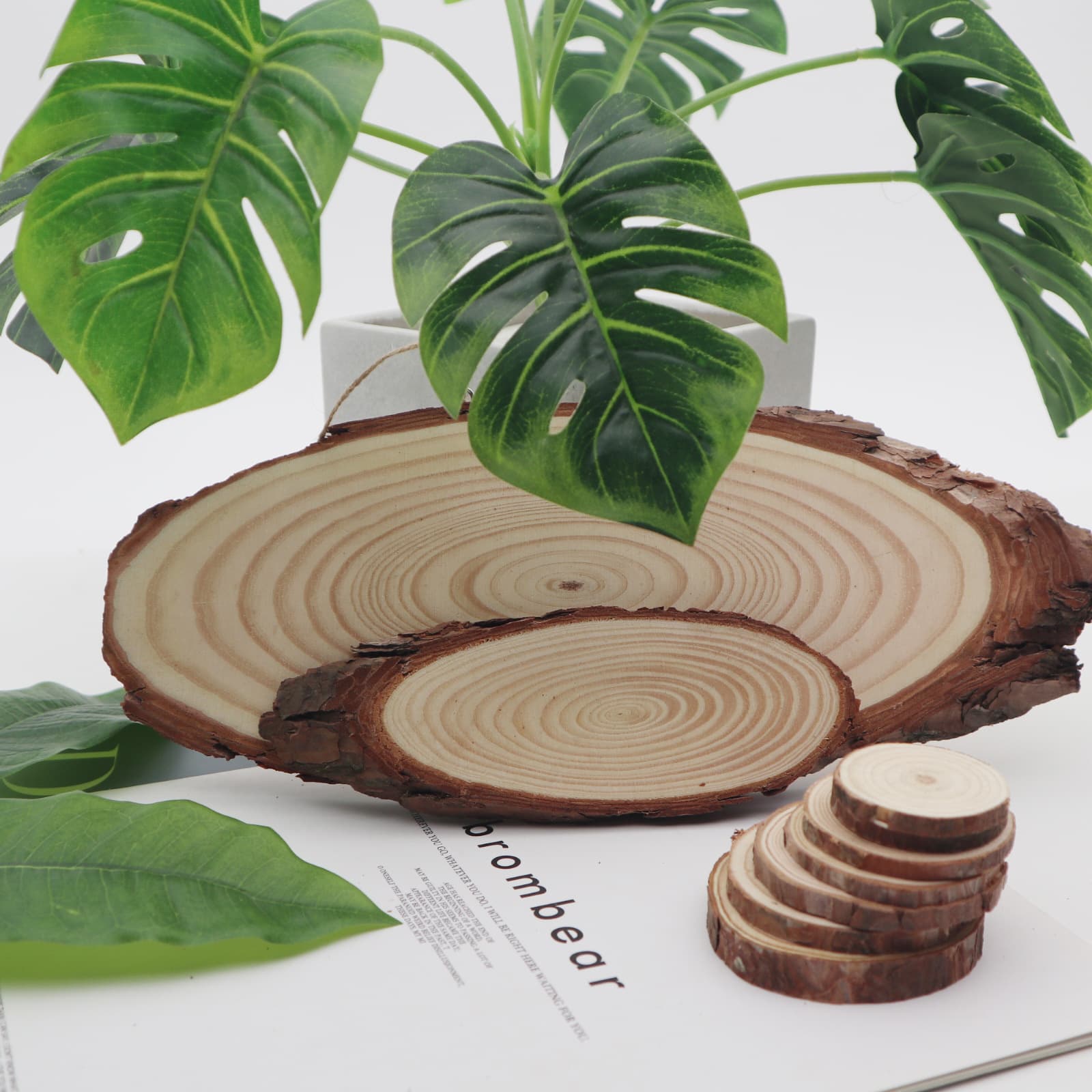 Natural Wood Slice Hanging Tag Decorative Wood Piece Tree Ring Slice DIY Hand-Painted Wood Slice Wholesale
