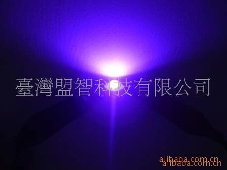 Supply German DINO Violet Fluorescent Powder DS-100