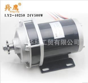 Antelope Eagle Electric Vehicle Permanent Magnet Motor, Brushed Motor for Modified Tricycles, 24V 500W, Tricycle Accessories