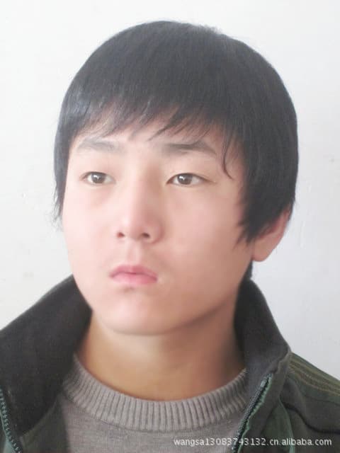 Real Hair Toupee Men's Wig Middle-Aged and Elderly Style Full Wig Men's Wig Wholesale