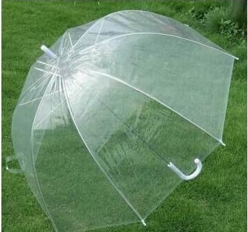 Viral Long-Handle Princess Mushroom Umbrella, Arch Dance Umbrella, Automatic Apollo Transparent Gift Rain Umbrella
