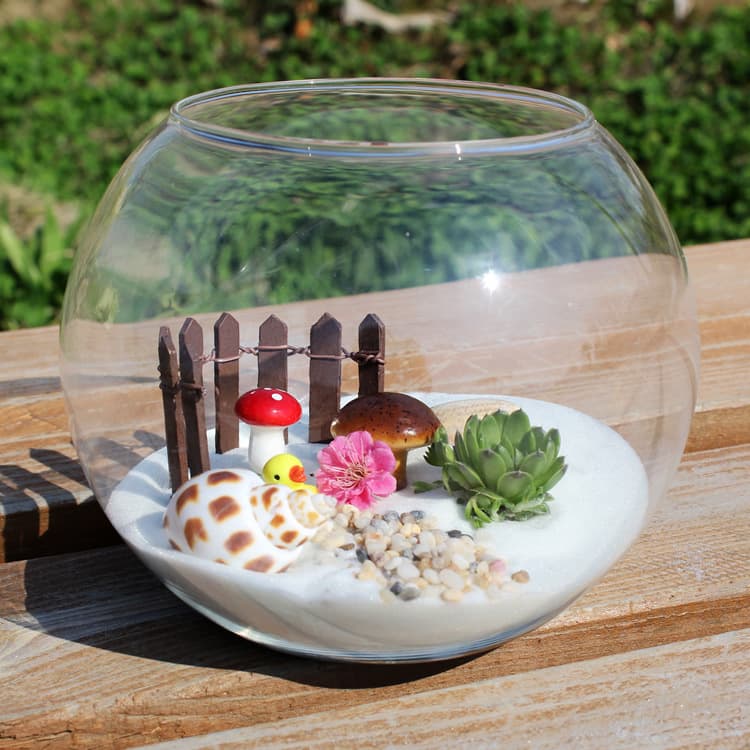 Round Glass Fish Tank Hydroponic Vase Succulent Plant Vase Miniature Moss Glass Vase