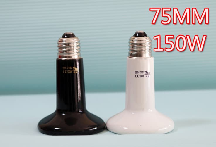 Supply Drop Shipping Heat Lamp Far Infrared Ceramic Heater, Constant Temperature Night/Day Lamp, Heating Lamp 150W