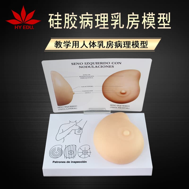Hongye Educational Silicone Breast Self-Examination Model, Teaching Breast Pathology Self-Examination Model, Export Demonstration Model