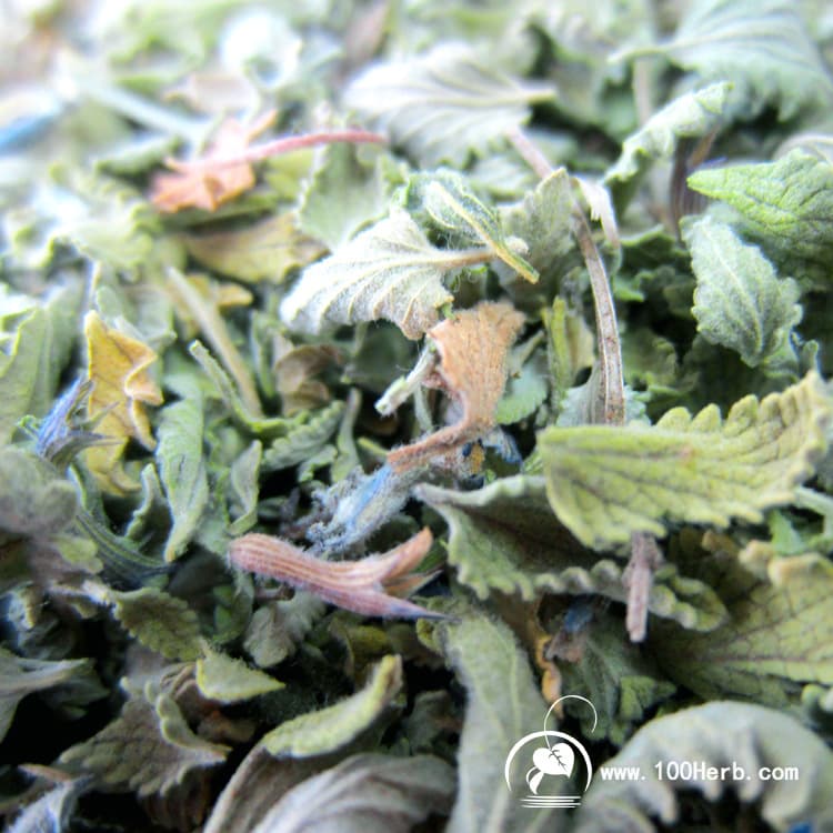 New catnip branches and leaves, toy stuffing, dried catnip leaves, catnip chips, bulk quality.