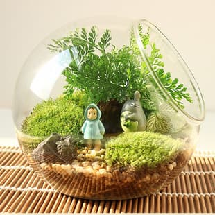 Micro Landscape Slanted Glass Vase, Moss, Succulent DIY Terrarium, Crystal Glass Home Decor Wholesale
