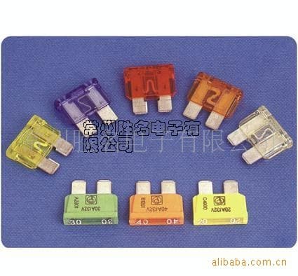 Electric Vehicle E-Bike Lithium Battery Fuse 12V 24V 32V 36V 48V 60V 80V Medium Fuse Link Automotive
