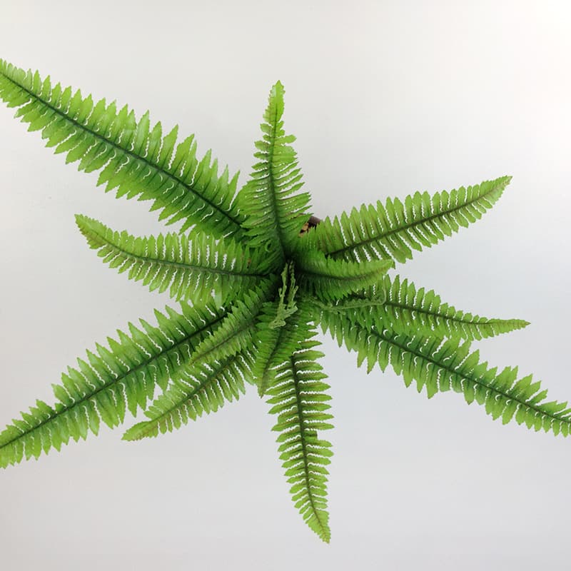 15 colored Boss leaf potted plants, simulated ferns, indoor green leafy plants, ready-made simulated green plants