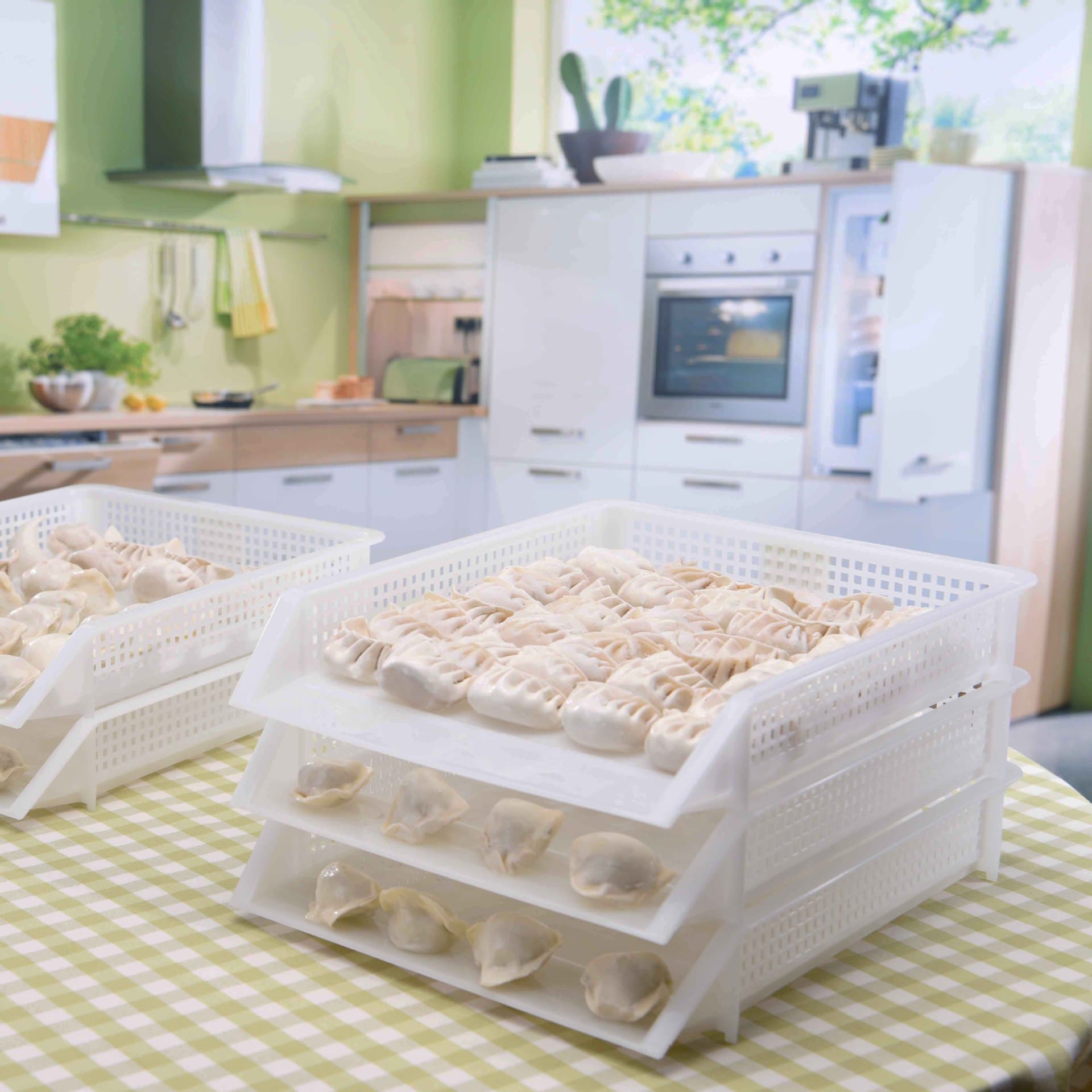 Kitchen Storage Box Creative Dumpling Tray Thickened Plastic Dumpling Tray Freezer Rectangular Refrigerator Dedicated