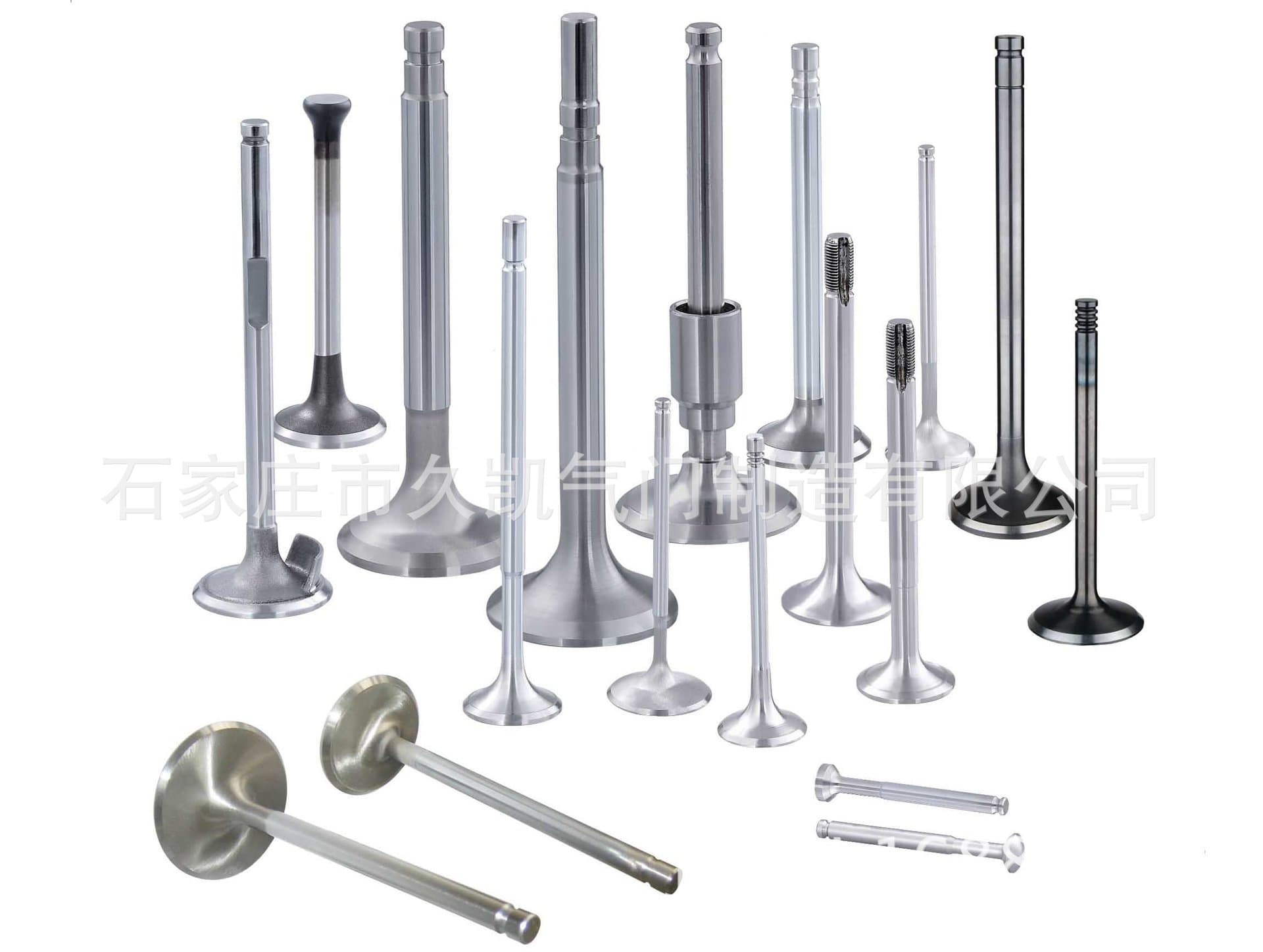 C201-12111 1E06-12111 C201-12121 Eng.FUJA/C2 Intake and Exhaust Valves