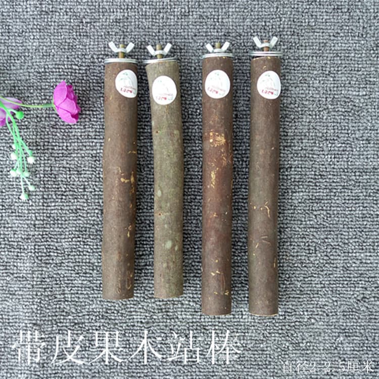 Nail Grinding Perch, Parrot Stand, Bird Cage Accessory, Chinchilla & Squirrel Chewing Stick, Bird Perch with Bark Fruit Wood