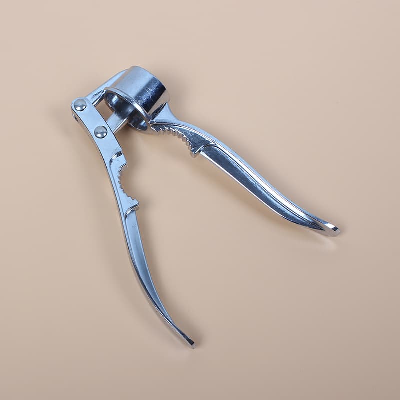 Multifunctional Stainless Steel Manual Garlic Press, Peeler, Crusher, Mincer, and Masher Tool