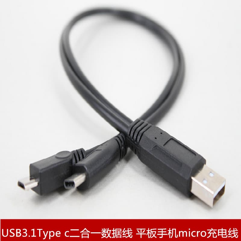 USB 3.1 Type-C 2-in-1 Data Cable for Tablet and Phone, Micro 5-Pin Male Charging Cable