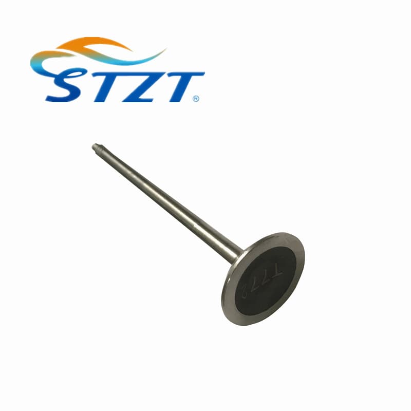 STZT 11347553772 Exhaust Valve for BMW 1 Series 3 Series 5 Series 7 Series X3 X5 Z4