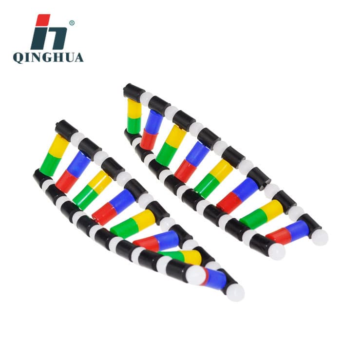 Qinghua DNA double helix structure model for high school biology demonstration, genetic teaching experiment instrument.