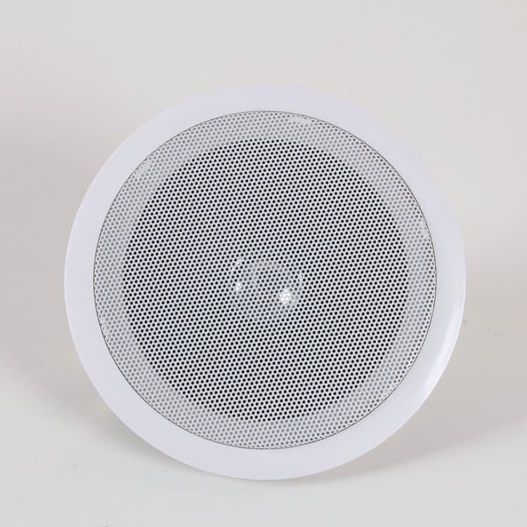 LS-602 Ceiling Speaker System, Indoor Classroom Wall-Mounted Speaker