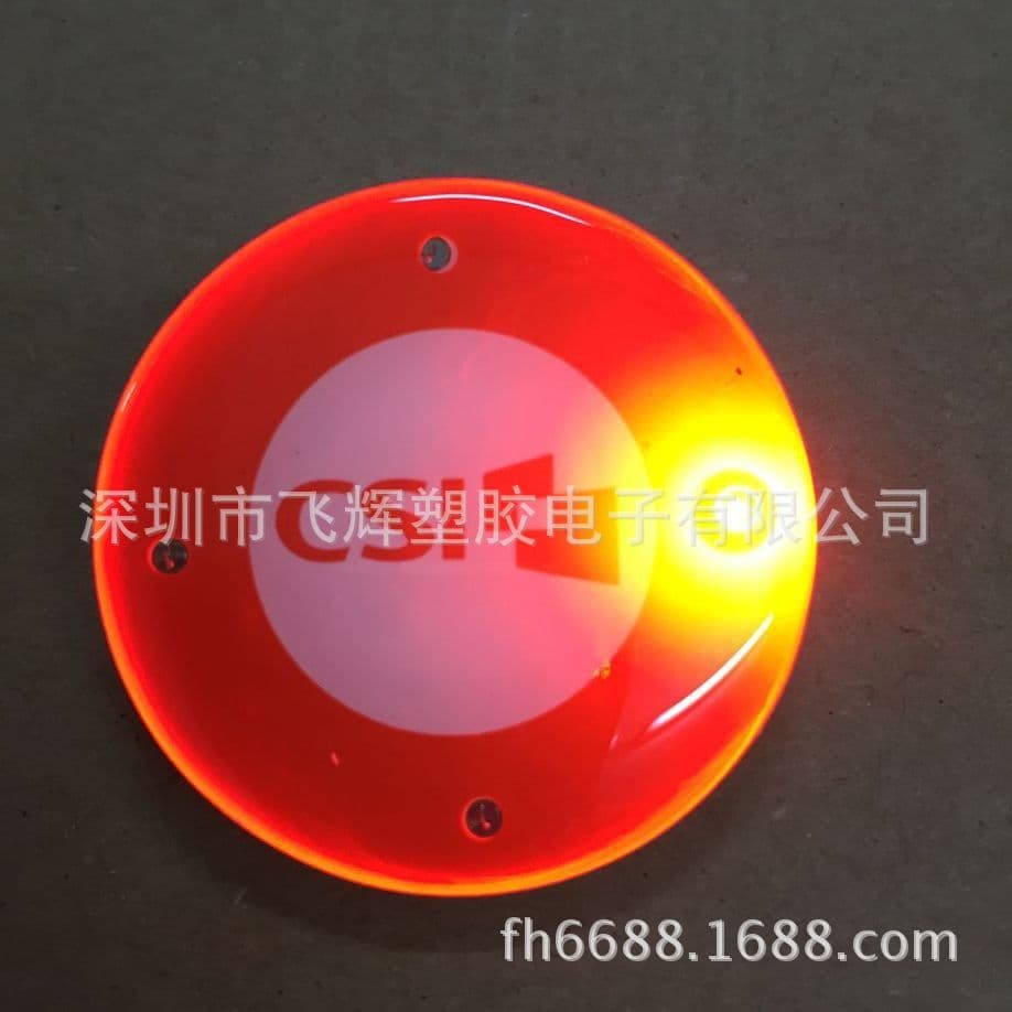 Custom Glowing Badge with Magnetic Clasp, Pet Pendant, Waterproof Shoe Light
