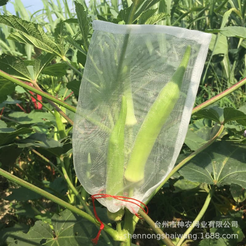 Wholesale Cross-Border Anti-Insect Mesh Bags, Vegetable and Fruit Grape Cover Bags, Gauze Bags, White Rope-Tied Bird Prevention Nets (Small Size)