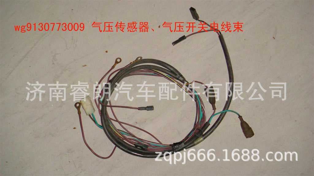 HOWO Parts CNHTC WG9130773009 Air Pressure Sensor Air Pressure Switch Wiring Harness