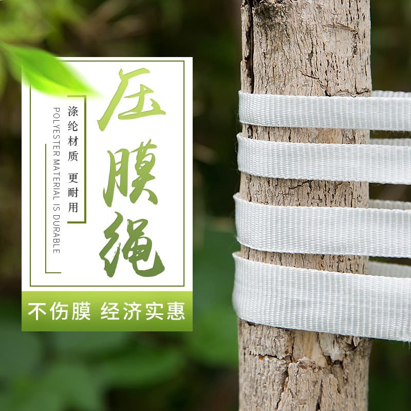 Greenhouse Wind-Resistant White Polyester Film Pressing Line, Film Pressing Tape, Film Support Tape, Pull Rope, Towing Rope, Backpack Strap