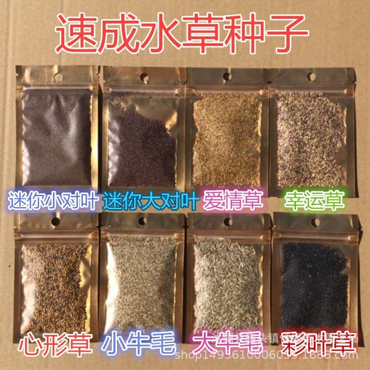 Mini Double-Leaf Aquarium Foreground Grass Seeds Landscaping Beautiful Water Plants Scenery Pet Gardening Water Grass Fertilizer