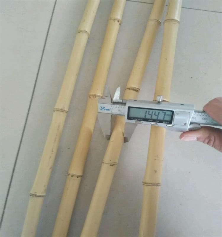 White Bamboo Poles for Outdoor Decoration - Insect and Mildew Resistant, Various Sizes