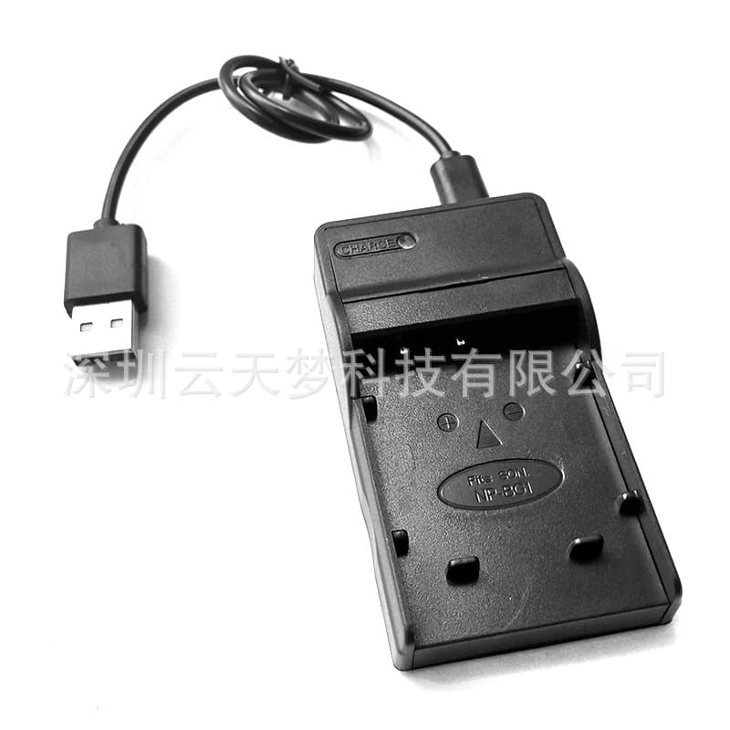 Compatible with Sony NP-BG1 USB charger and batteries for DSC-H50, H55, HX30, and W290 digital cameras.